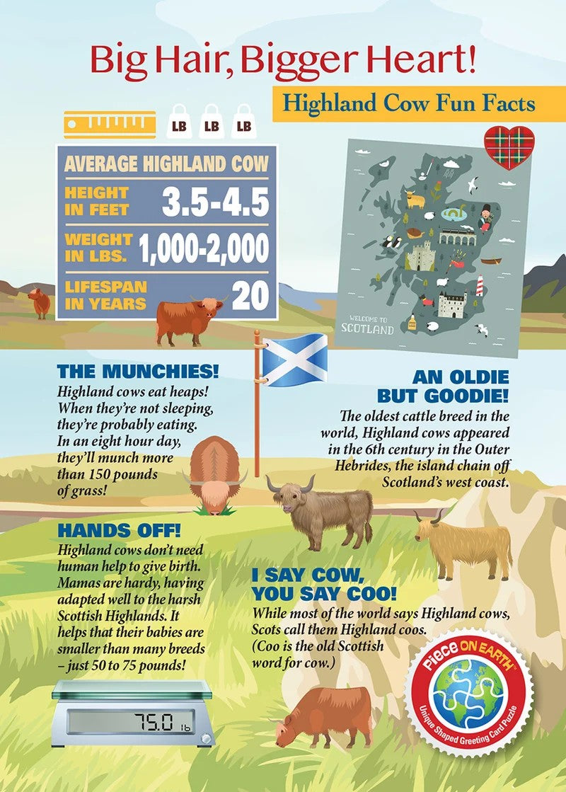 Madd Capp Highland Cow 20-Piece Jigsaw Puzzle Greeting Card