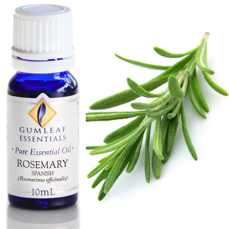 Australian Made Rosemary Spanish Essential Oil – Buckley & Phillips