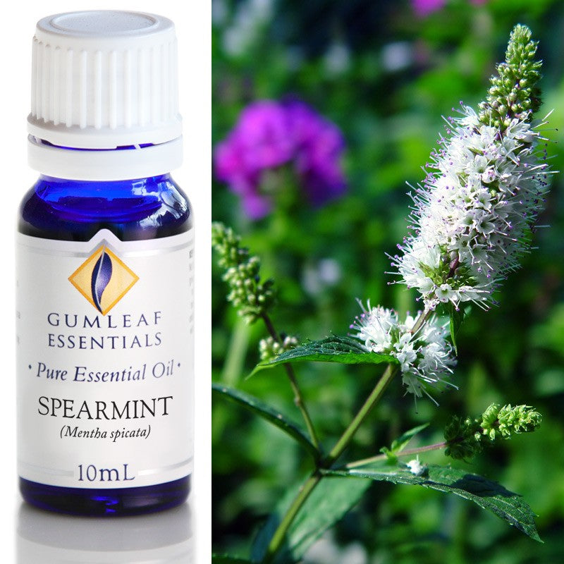 Australian Made Spearmint Essential Oil – Buckley & Phillips
