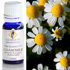 Australian Made Chamomile Roman (3% in Jojoba) Essential Oil – Buckley & Phillips