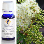 Australian Made Eucalyptus Peppermint Gum Essential Oil – Buckley & Phillips