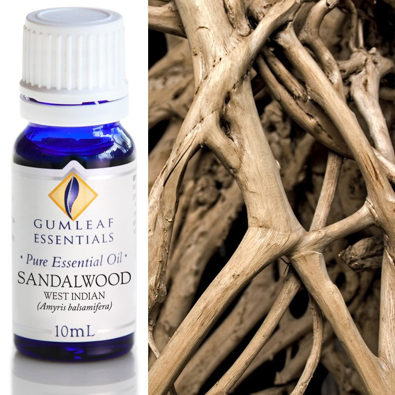 Australian Made Sandalwood West Indian Essential Oil – Buckley & Phillips