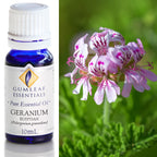 Australian Made Geranium Egyptian Essential Oil – Buckley & Phillips