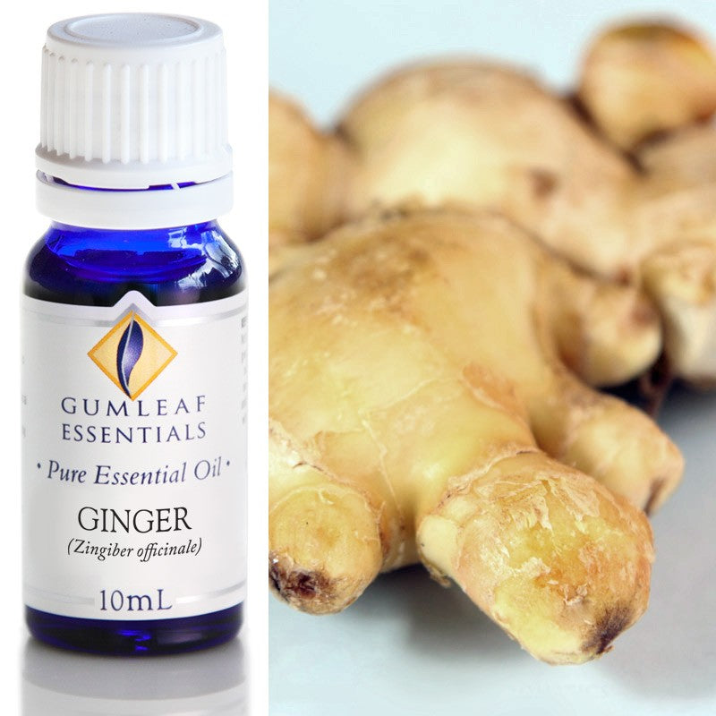 Australian Made Ginger Essential Oil – Buckley & Phillips