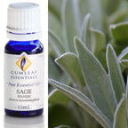 Australian Made Sage Spanish Essential Oil – Buckley & Phillips
