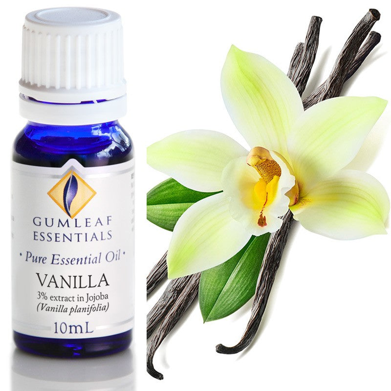 Vanilla (3% in Jojoba) Essential Oil – Buckley & Phillips
