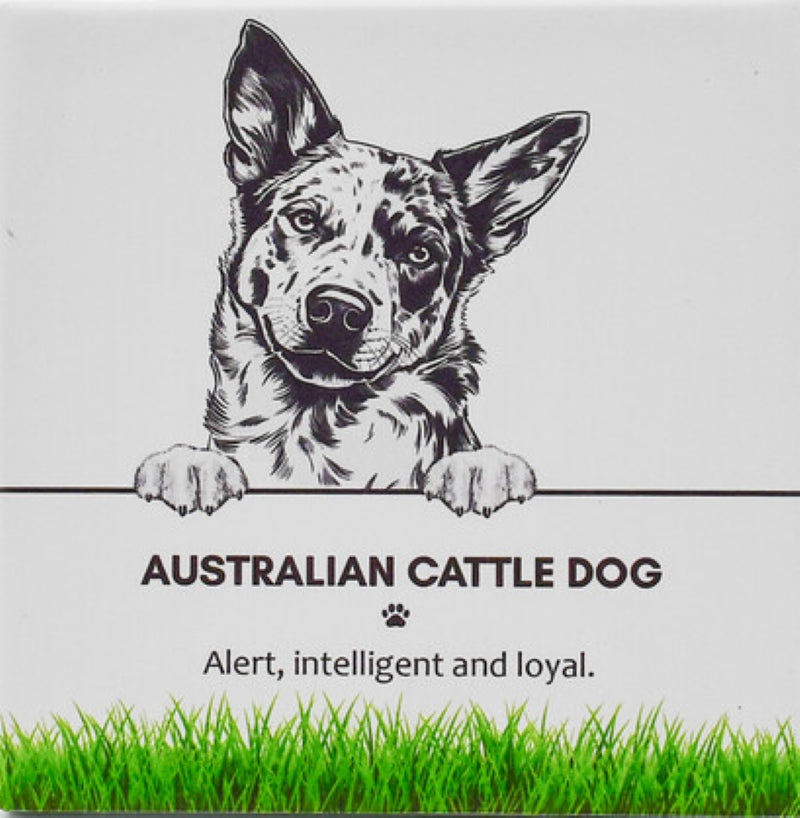 Australian Cattle Dog Pet Coaster