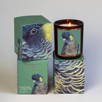 Wildflower + Ylang Ylang Australian Artist Soy Candle 50+ Hours