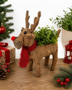 Reindeer Pot Holder – Coir Christmas Plant Holder