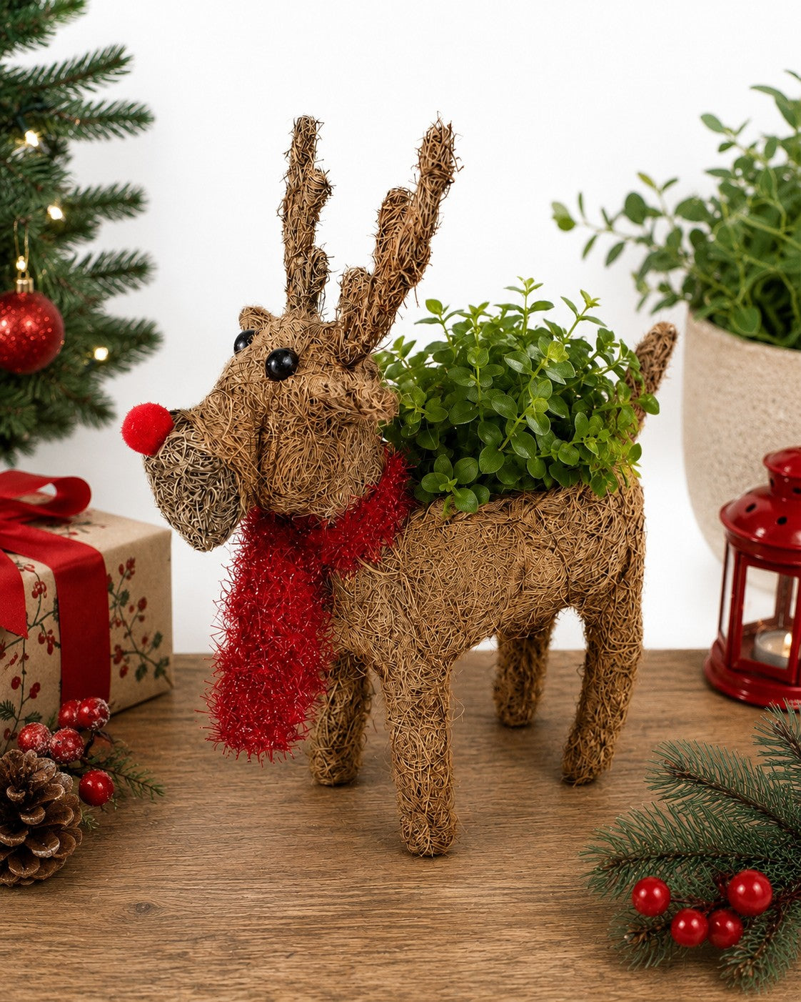 Reindeer Pot Holder – Coir Christmas Plant Holder