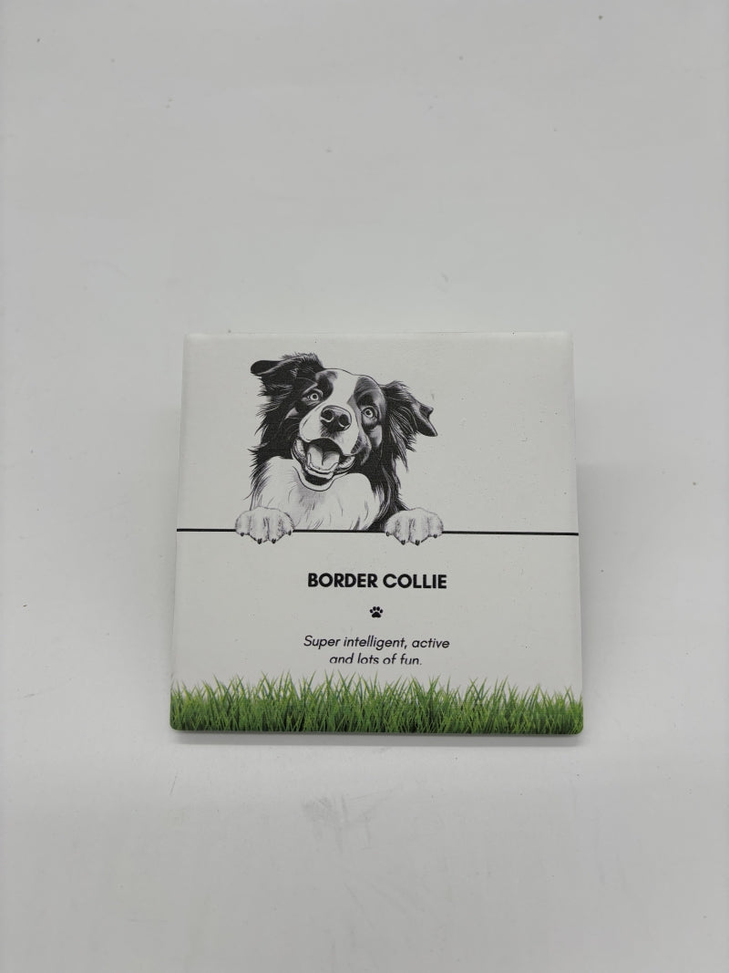 Border Collie Pet Coaster
