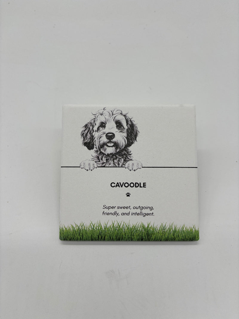 Cavoodle Pet Coaster