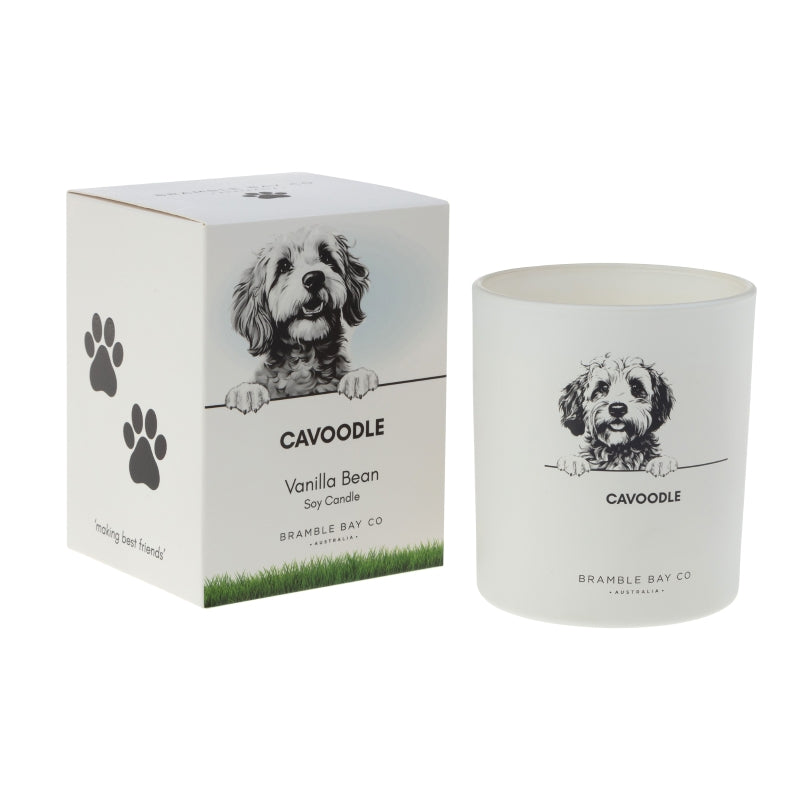 Cavoodle Vanilla Bean Soy Candle