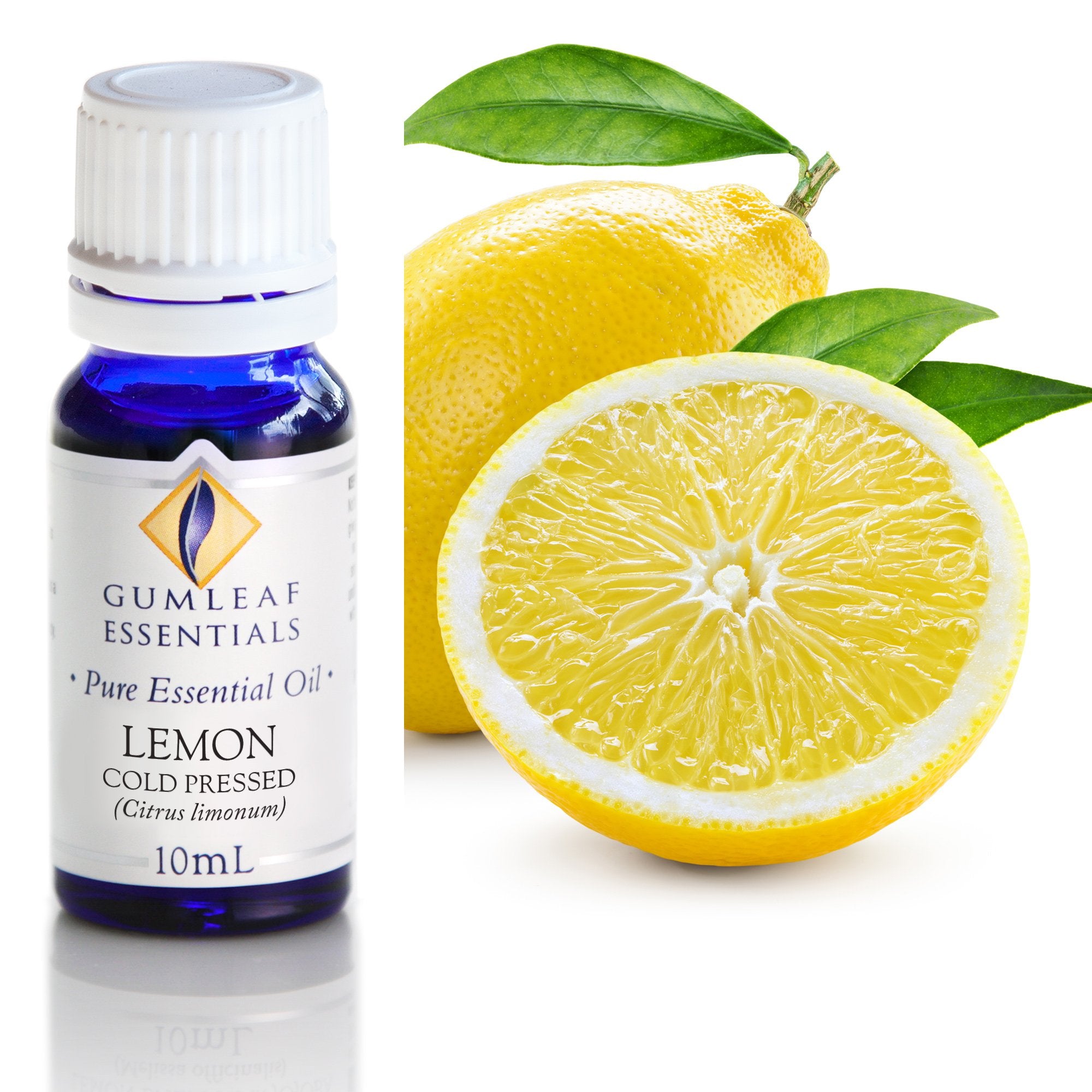 Premium Lemon Cold Pressed Essential Oil – Gumleaf Essentials 10 ml