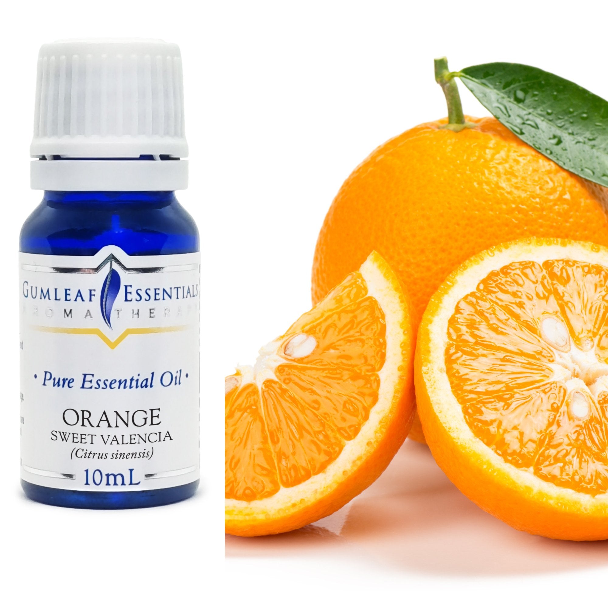 Premium Orange Sweet Valencia Essential Oil – Gumleaf Essentials 10 ml