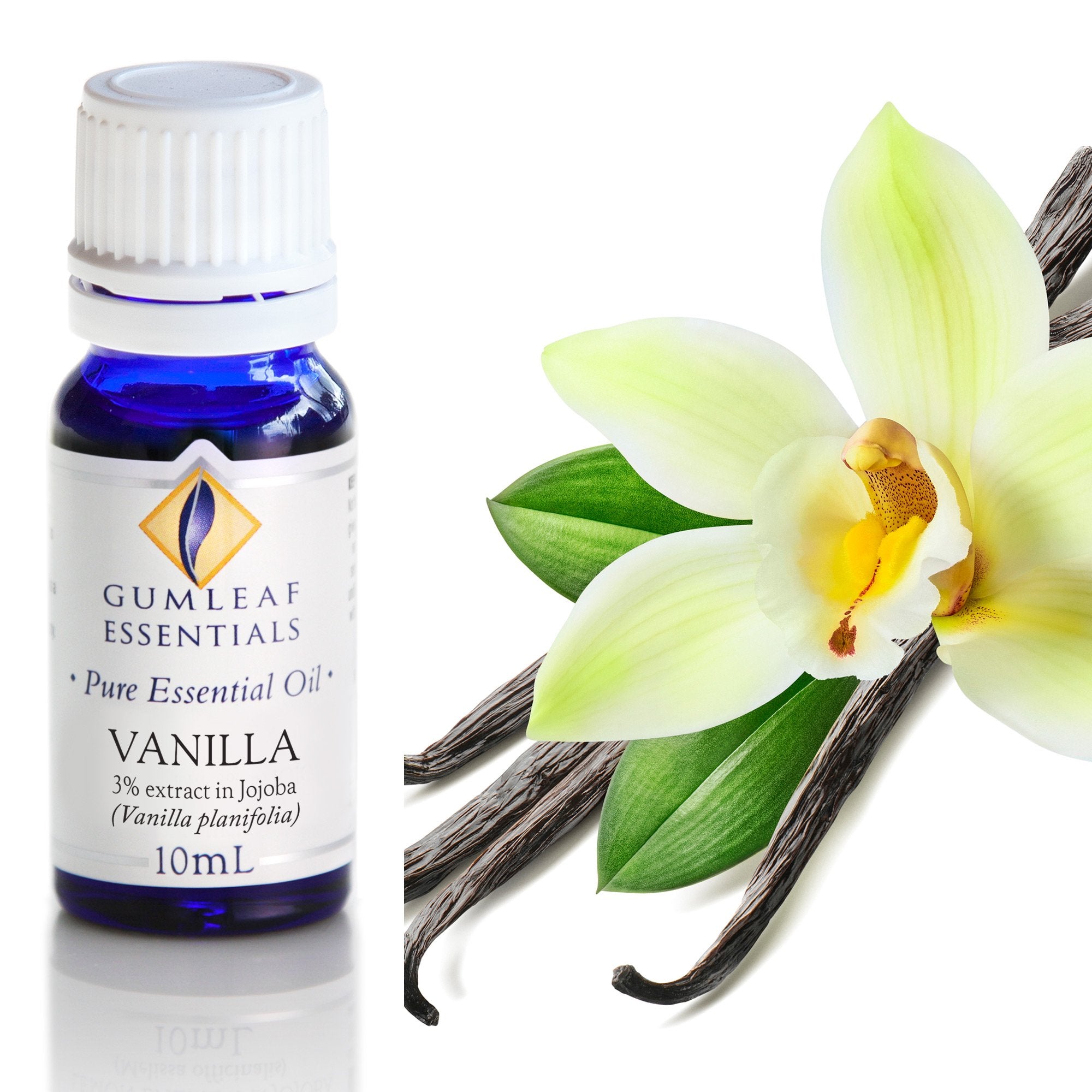 Premium Vanilla (3% in Jojoba) Essential Oil – Gumleaf Essentials