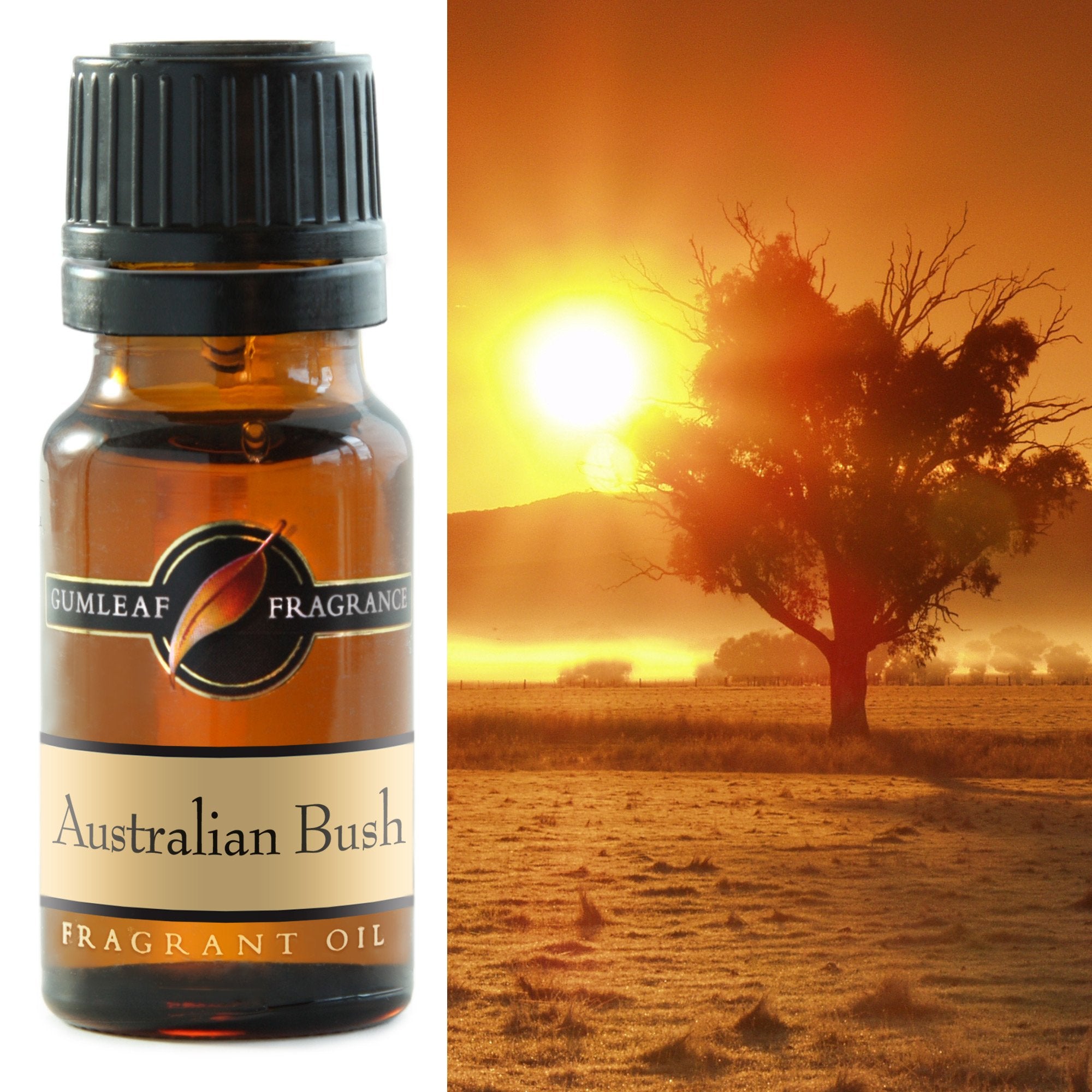 Premium Australian Bush Fragrance Oil – Gumleaf 10 ml