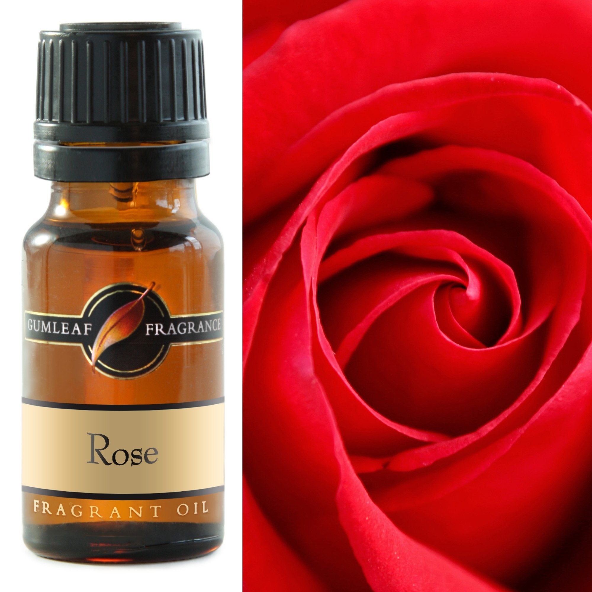 Premium Rose Fragrance Oil – Gumleaf (10 ml)