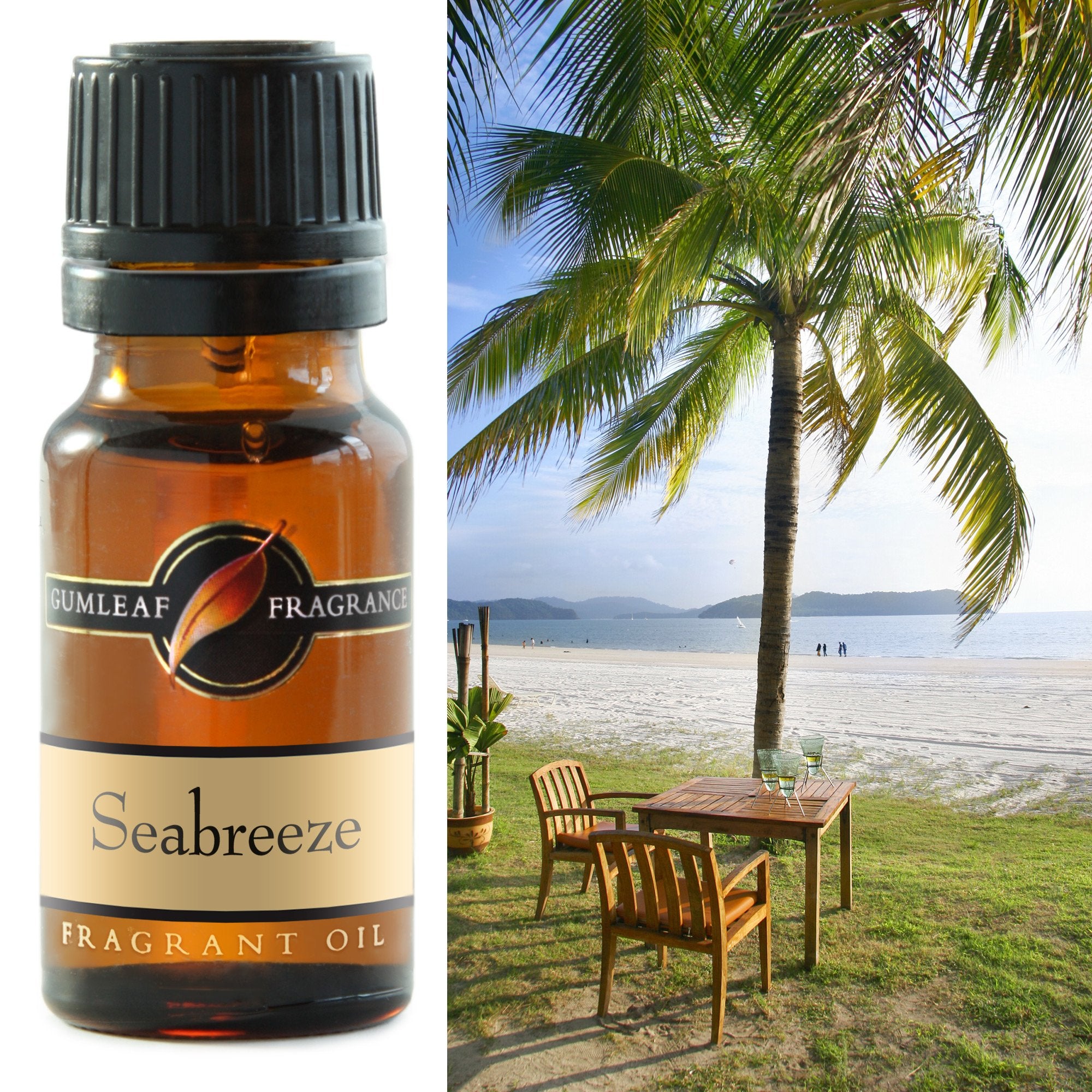 Premium Seabreeze Fragrance Oil – Gumleaf 10 ml