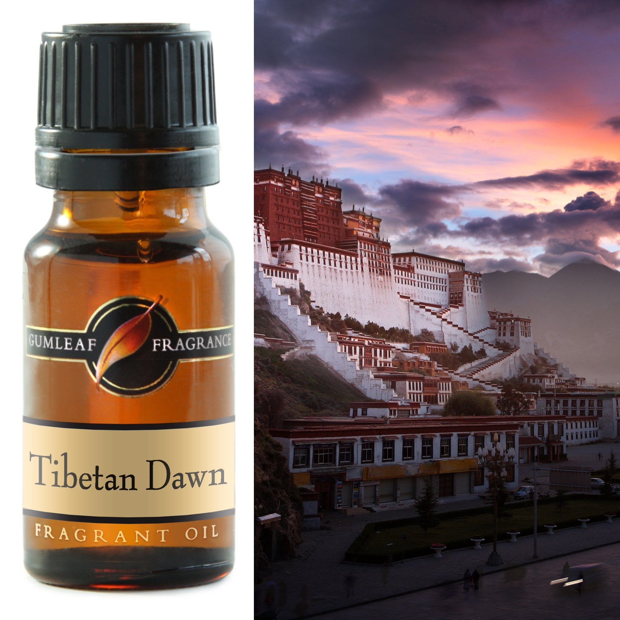 Premium Tibetan Dawn Fragrance Oil – Gumleaf 10 ml