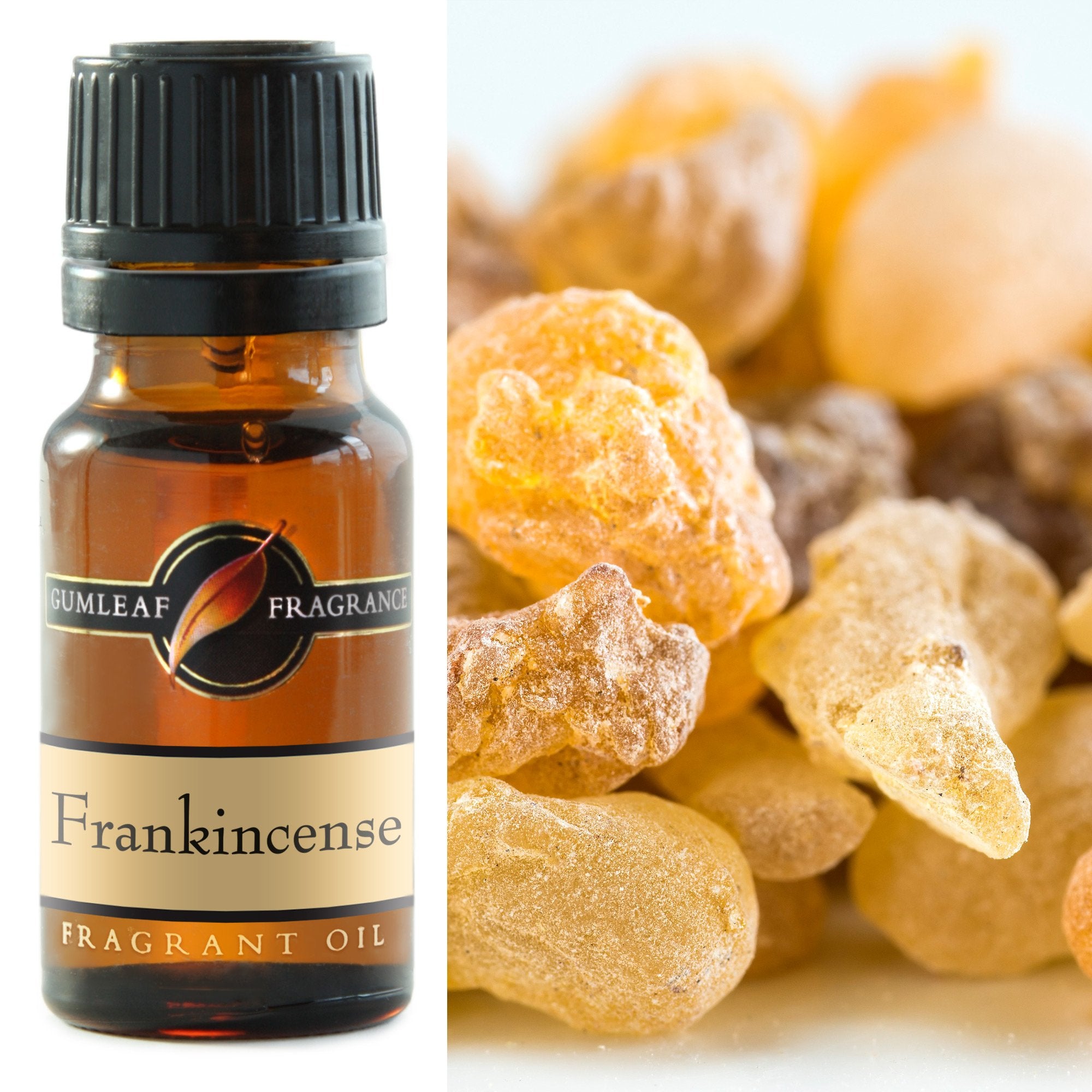 Premium Frankincense Fragrance Oil – Gumleaf 10 ml