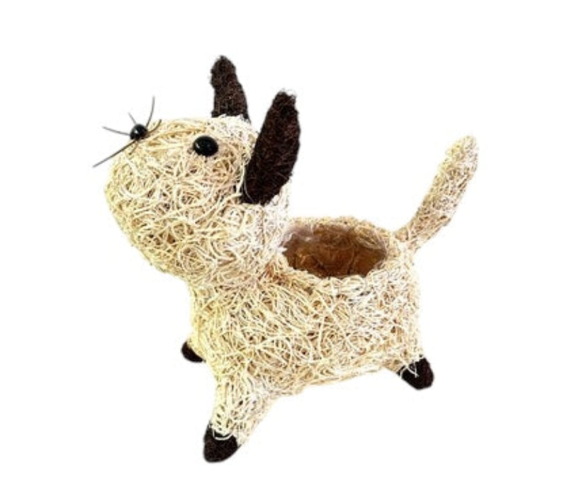 Pussy Cat Pot Holder – Hand-Woven Rattan Planter Accent