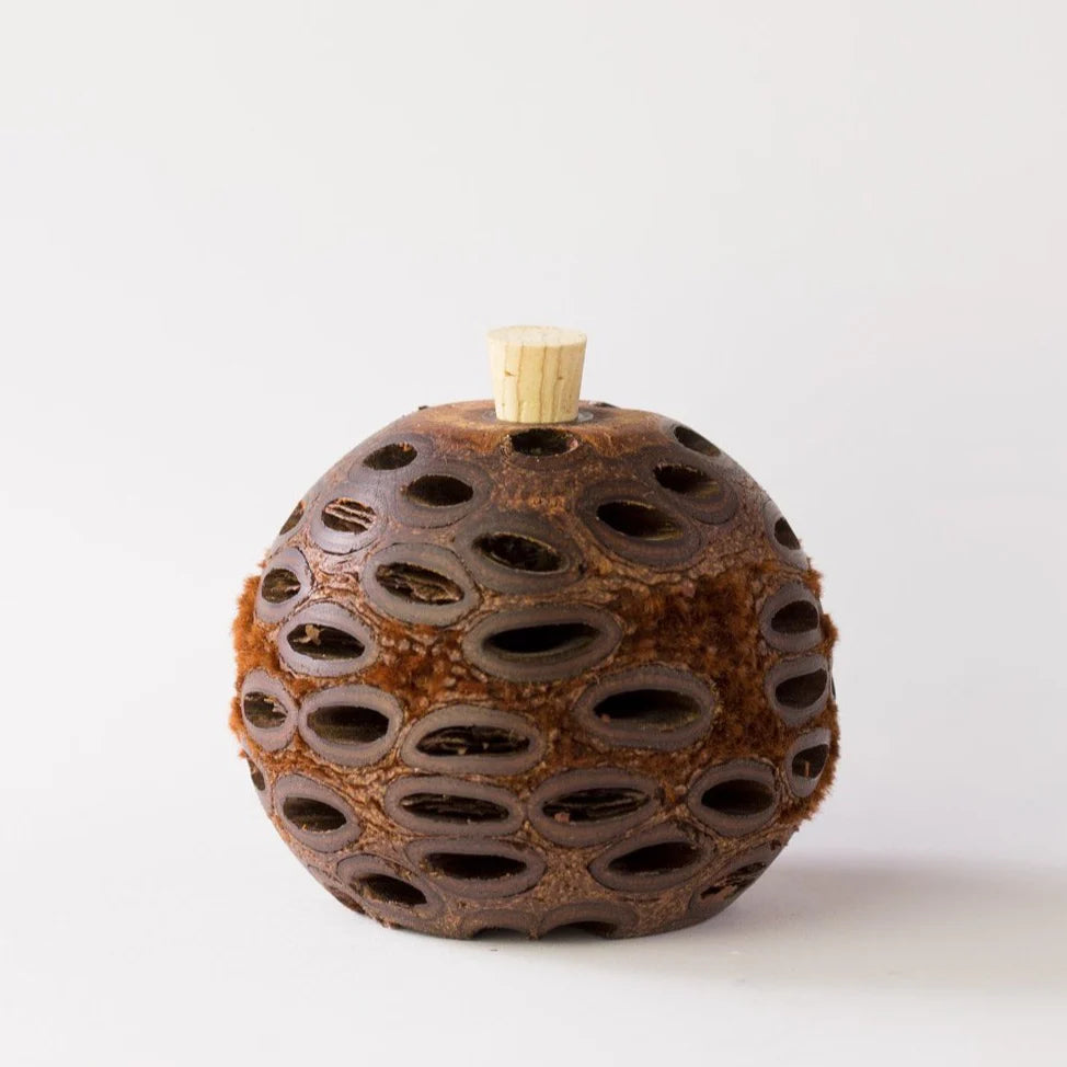 Mini/Small Banksia Aroma Pod Diffuser – Natural Banksia grandis Seed Pod